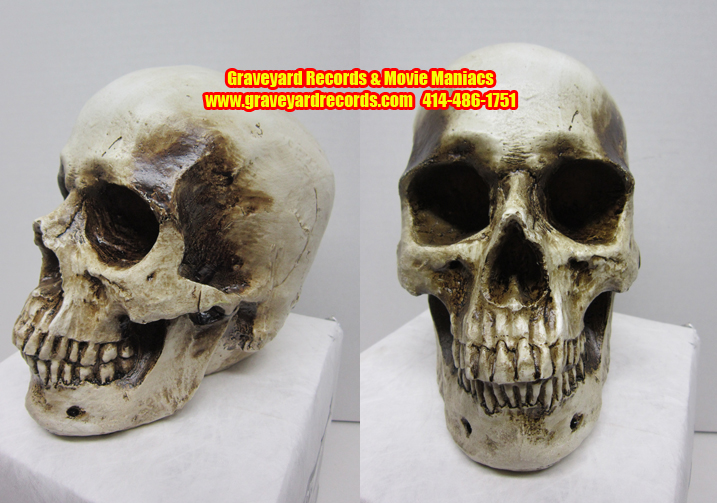 Life Like Human Skull # 1 - Closed Mouth